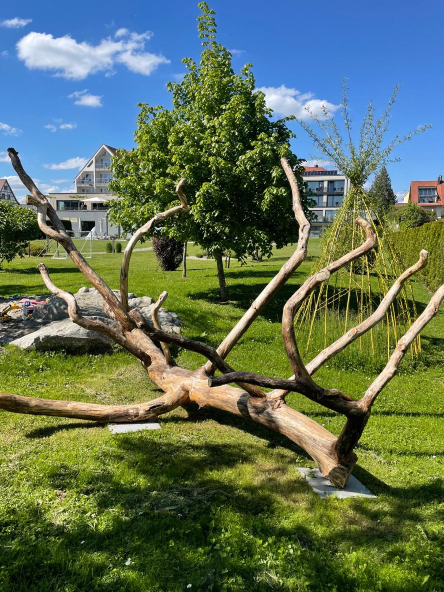 Hotel Traube Am See Friedrichshafen Zewnętrze zdjęcie